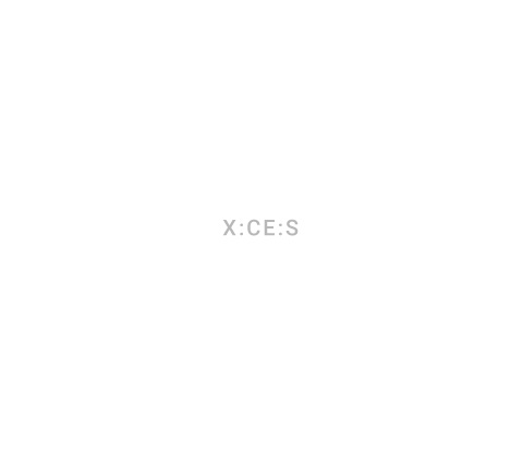 X:CE:S